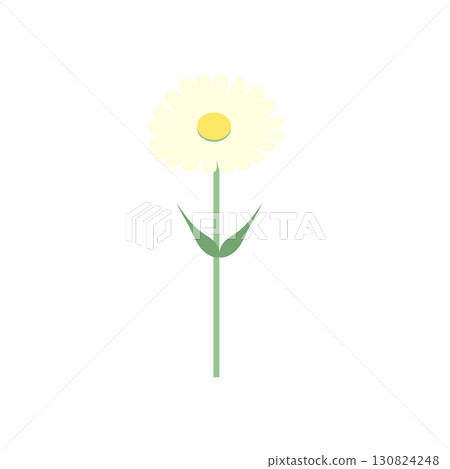 一朵簡單的雛菊 一朵簡單的雛菊 130824248