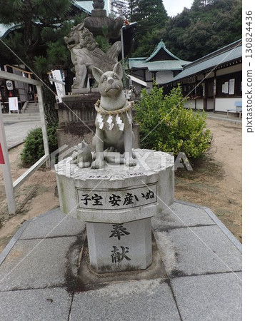 Shiio Hachimangu Shrine, built by Yoshikawa Hiromasa, the lord of Iwakuni, is located on a hill near Kintaikyo Bridge in Iwakuni City, Yamaguchi Prefecture. Shiio Hachimangu Shrine, built by Yoshikawa Hiromasa, the lord of Iwakuni, is located on a hill near Kintaikyo Bridge in Iwakuni City, Yamaguchi Prefecture. 130824436