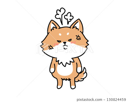 憤怒的柴犬 130824459