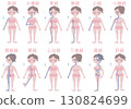 An illustration showing the rough flow of the twelve meridians of the regular meridian in a female body 130824699