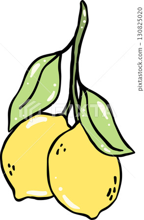 Illustration of Two Lemons with Leaves Illustration of Two Lemons with Leaves 130825020