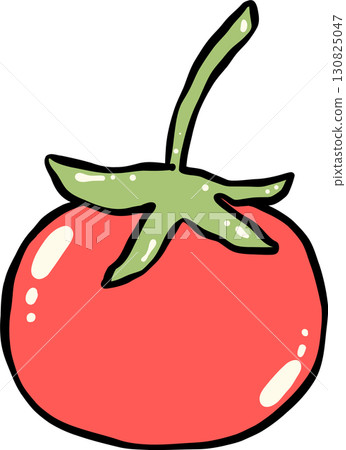 Hand Drawn Tomato Illustration 130825047
