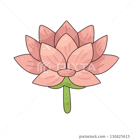 illustration of lotus flower 130825615