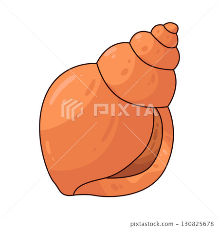 illustration of shell 130825678