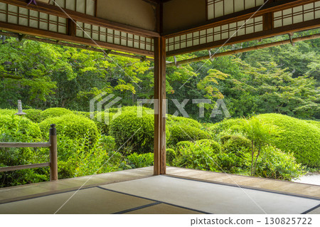 Shisendo，京都新綠植物中的相框花園 130825722