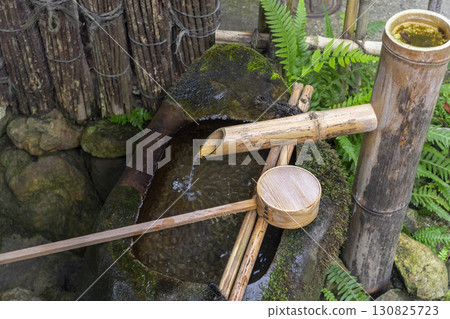 京都，新綠的紫泉堂水池 130825723