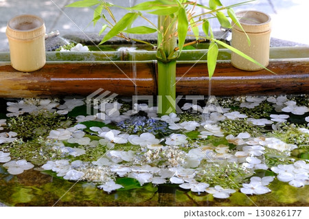 雨季的Chozuya（淨水站） 130826177