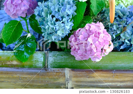 Chozuya (purification station) during the rainy season Chozuya (purification station) during the rainy season 130826183