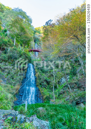 秋天的御峰瀑布，據說是岐阜縣八百津町的傳奇劍客宮本武藏修行的地方 130826489