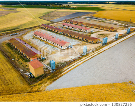 Aerial view of modern pig farm 130827256