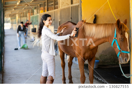 Armenian girl has tied horse to hitching post and is combing animals croup 130827555