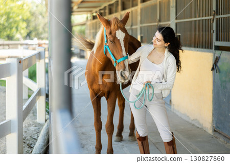 Armenian female worker takes horse out of stall, holds animal by bridle and leads pet for walk 130827860