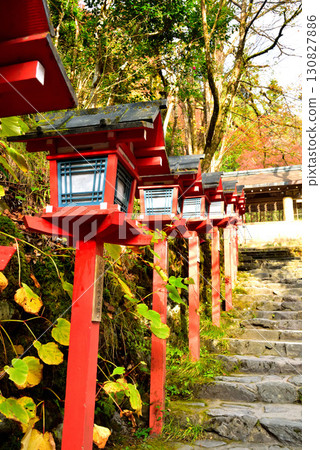 京都內殿貴船神社的秋葉 京都內殿貴船神社的秋葉 130827886