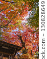 Autumn leaves at Matsugasaki Daikokuten in Kyoto 130828649