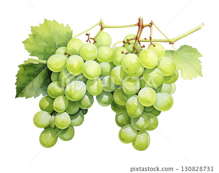 葡萄 AI 生成的圖像 130828731