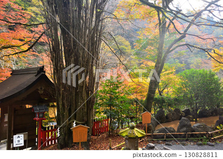 京都內殿貴船神社的秋葉 130828811