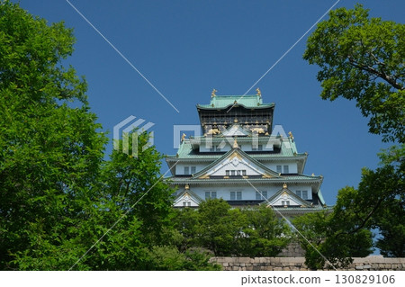 Osaka Castle surrounded by fresh greenery Osaka Castle surrounded by fresh greenery 130829106