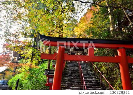 京都內殿貴船神社的秋葉 京都內殿貴船神社的秋葉 130829251