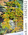 Autumn leaves at Kifune Shrine, Kyoto's inner sanctum 130829252