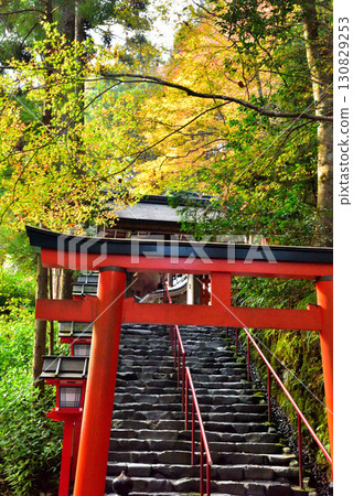 Autumn leaves at Kifune Shrine, Kyoto's inner sanctum 130829253