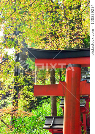 Autumn leaves at Kifune Shrine, Kyoto's inner sanctum 130829254