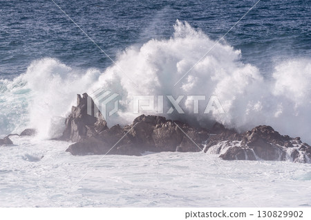 The Pacific Coast 130829902