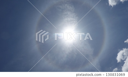 Halo 130831069