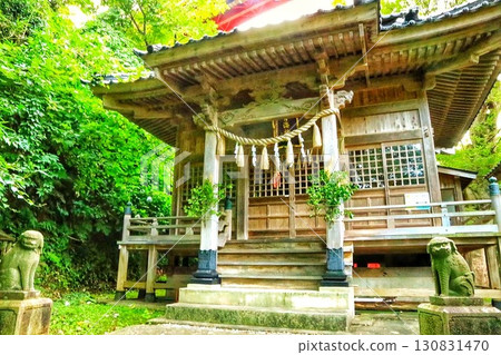 wrapped in fresh green wrapped in fresh green 130831470