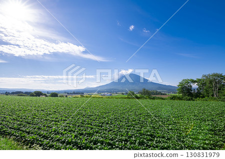 Mount Yotei in Hokkaido seen from beyond the Hata family home 130831979
