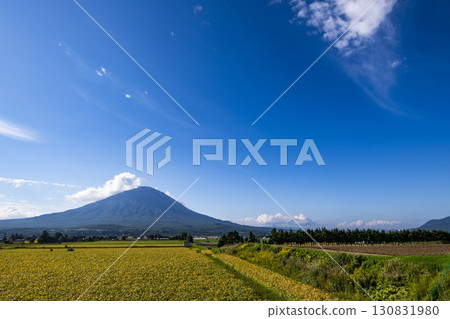 Mount Yotei in Hokkaido seen from beyond the Hata family home 130831980