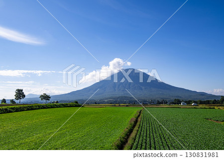 Mount Yotei in Hokkaido seen from beyond the Hata family home 130831981