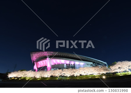 埼玉櫻花體育場 130831998