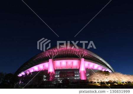 埼玉櫻花體育場 130831999