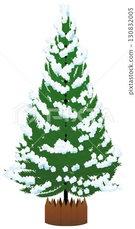 Christmas tree covered in snow, beautiful Christmas tree covered in snow, beautiful 130832005