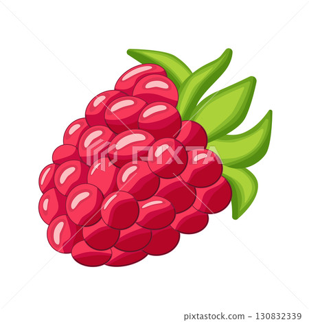 Raspberry isolated on white background. Raspberry. Wild berry. 130832339