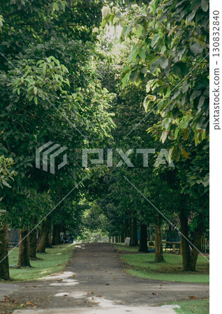 A serene pathway framed by lush trees, leading into the distance, inviting exploration A serene pathway framed by lush trees, leading into the distance, inviting exploration 130832840