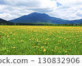 A large colony of Hemerocallis nikkoi blooming in Ozegahara, Gunma Prefecture, and Mt. Hiuchigatake 130832906