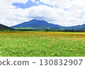 A large colony of Hemerocallis nikkoi blooming in Ozegahara, Gunma Prefecture, and Mt. Hiuchigatake 130832907