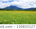 A large colony of Daylilies blooming in Ozegahara, Katashina Village, Gunma Prefecture, and Mt. Hiuchigatake 130833127