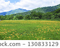 Day lilies blooming in Ozegahara and Mount Shibutsu in Katashina Village, Gunma Prefecture 130833129