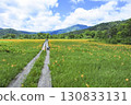 Day lilies blooming in Ozegahara and Mount Shibutsu in Katashina Village, Gunma Prefecture 130833131