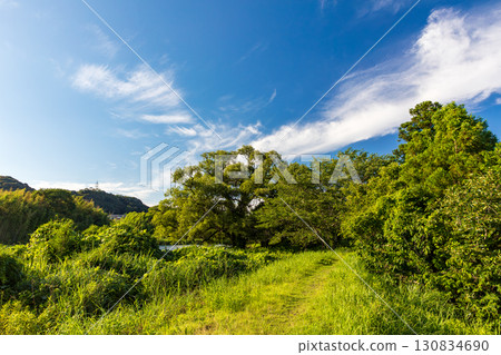 Hatakama, Kakegawa City, Shizuoka Prefecture Tenryu Hamanako Railway and scenery along the line 130834690