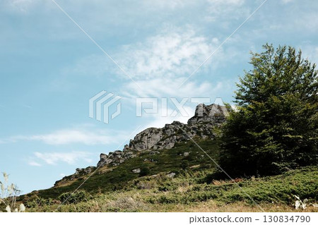 Sloping rocky ridge of Babin Zub mount in Stara Planina National park with green vegetation and a tree on the right side, under a bright sky. Serbia country Sloping rocky ridge of Babin Zub mount in Stara Planina National park with green vegetation and a tree on the right side, under a bright sky. Serbia country 130834790