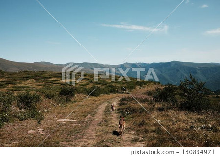 Two dogs German and Australian Shepherd walking on a dirt path across the open meadows of Stara Planina with mountain ranges in the distance. Rear view. Travel and hiking with pet concept 130834971
