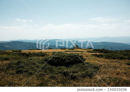 Expansive mountain view from Stara Planina, Serbia, with rolling hills and grassy plateaus stretching into the horizon Expansive mountain view from Stara Planina, Serbia, with rolling hills and grassy plateaus stretching into the horizon 130835036
