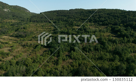 Aerial view of green forested hills and untouched wilderness in Serbia country. Drone photography of Balkan nature landscape 130835112