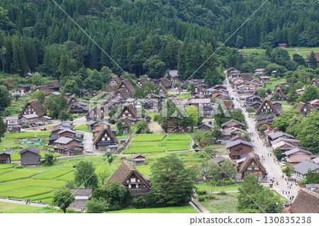 Shirakawa-go in summer, view from the Shiroyama Castle Tower Observatory Shirakawa-go in summer, view from the Shiroyama Castle Tower Observatory 130835238