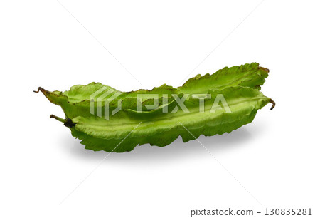 Winged bean isolated on white background with clipping path 130835281