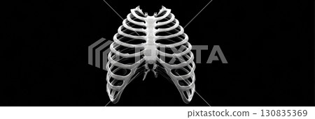 Ribcage anatomy is showcased with intricate detail, revealing the alignment and structure of the ribs against a contrasting dark backdrop. 130835369