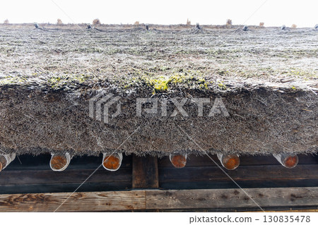 Closeup on typical traditional thick gassho zukuri style roof in Shirakawago in Japan to withstand heavy snow during winter 130835478